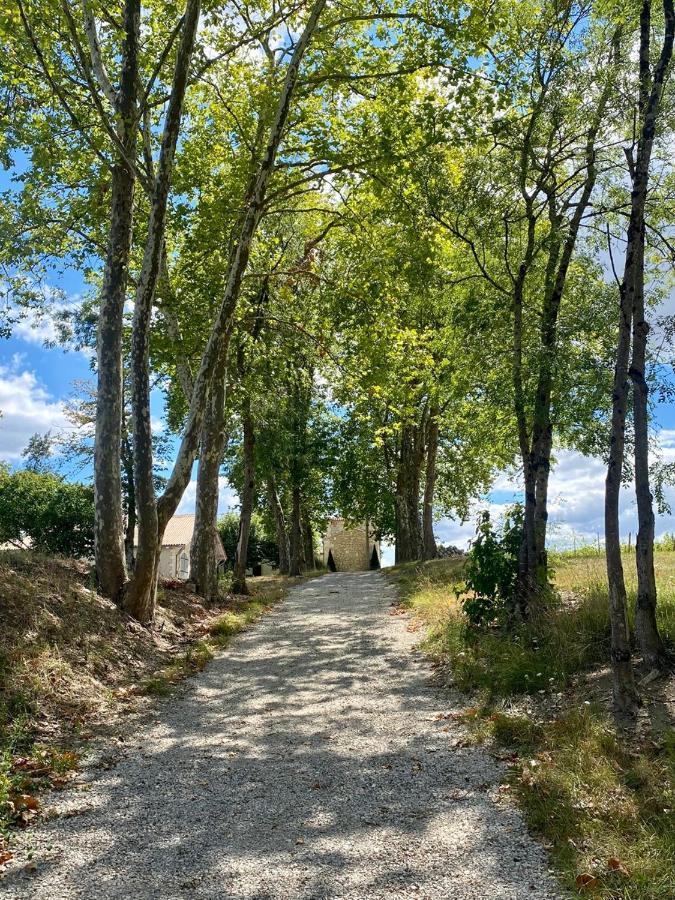 La Maison L'Eperon, Stylish 5 Star Villa Surrounded By Vineyard Near Saint Emilion Verac Bagian luar foto